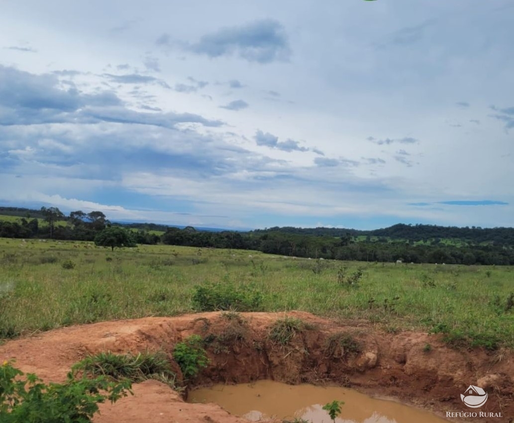 Fazenda à venda com 1 quarto, 22000000m² - Foto 2