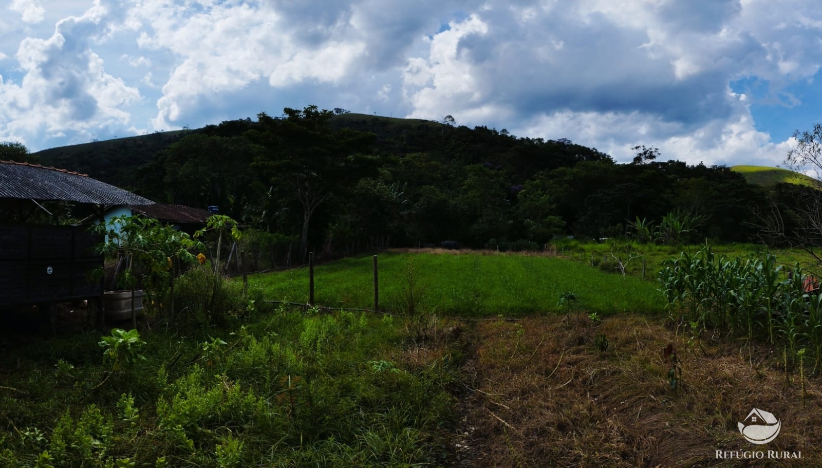 Fazenda à venda com 3 quartos, 2000m² - Foto 4