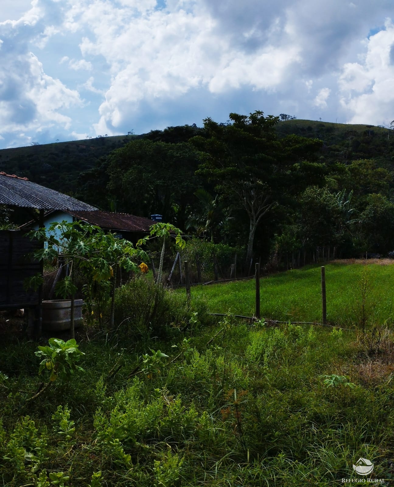 Fazenda à venda com 3 quartos, 2000m² - Foto 3