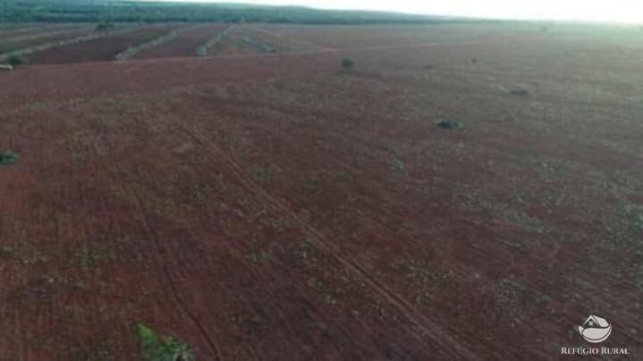 Fazenda à venda com 3 quartos, 33880000m² - Foto 2