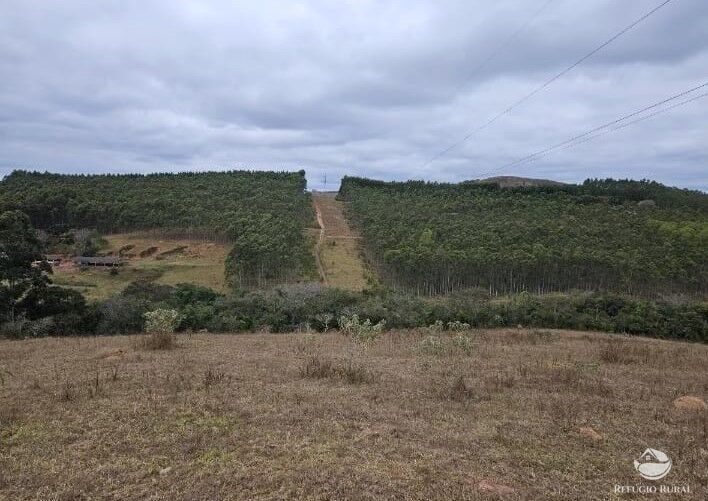 Fazenda à venda com 5 quartos, 2260000m² - Foto 4