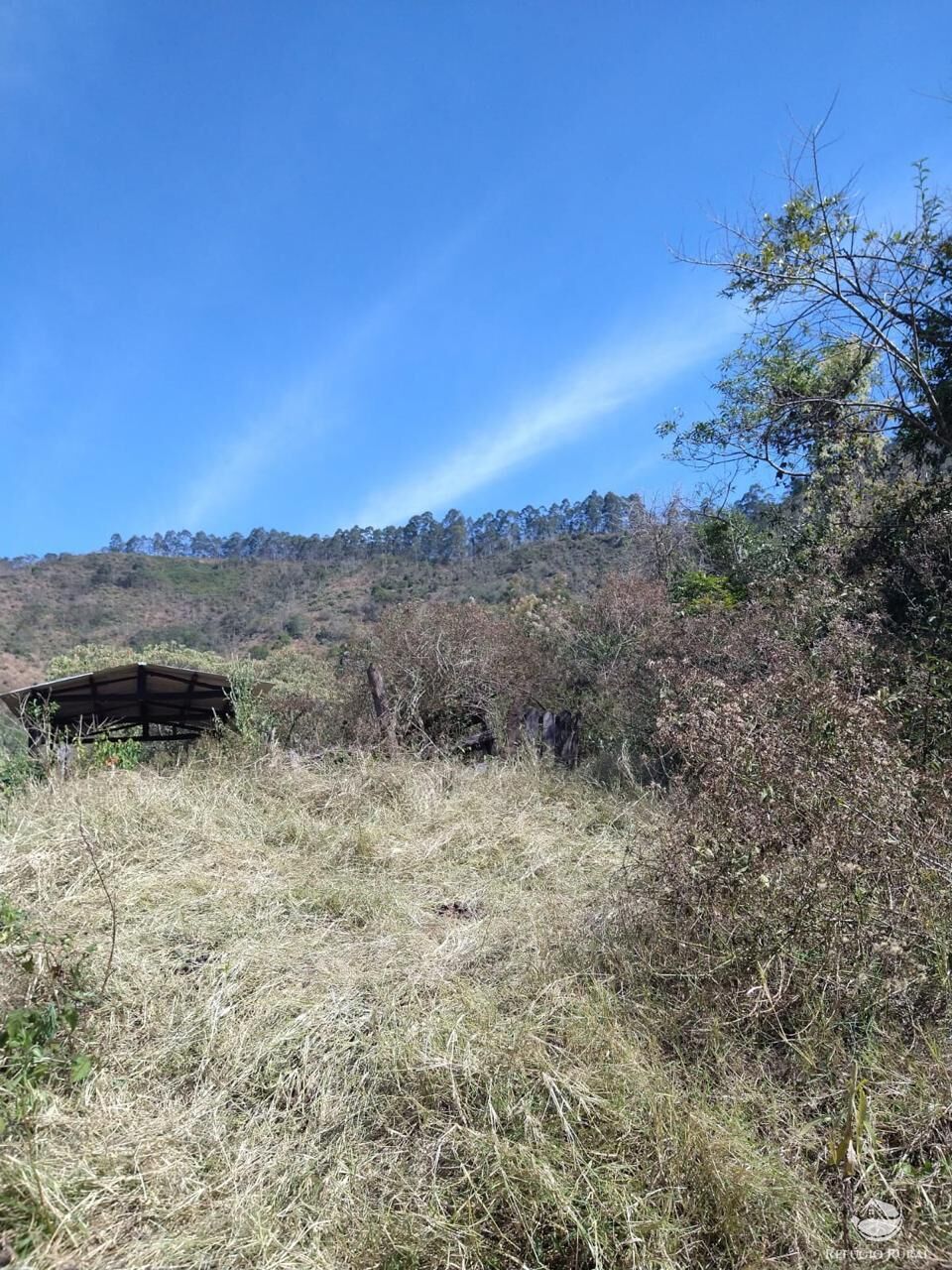 Terreno à venda, 363000m² - Foto 3