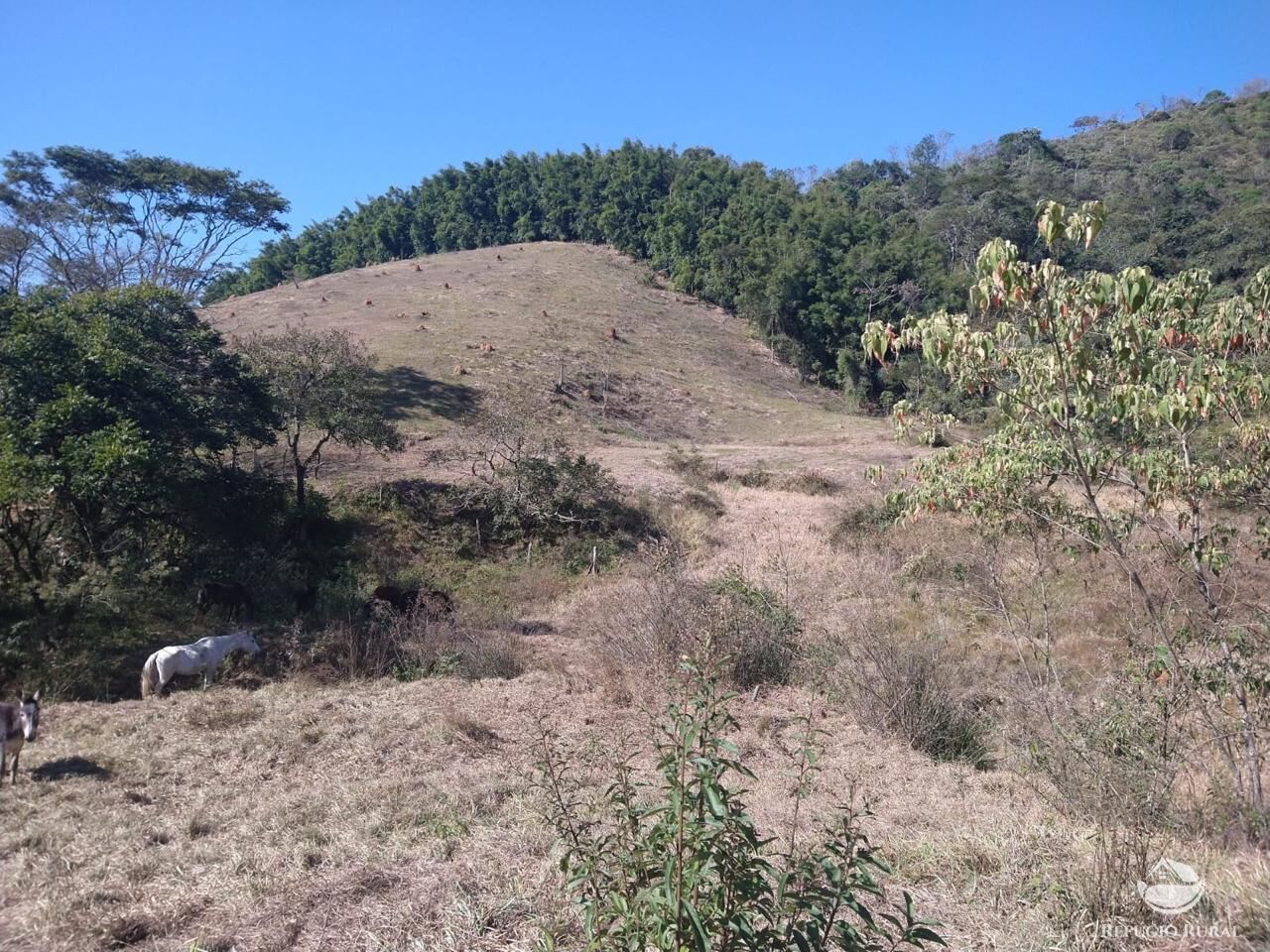 Terreno à venda, 363000m² - Foto 2