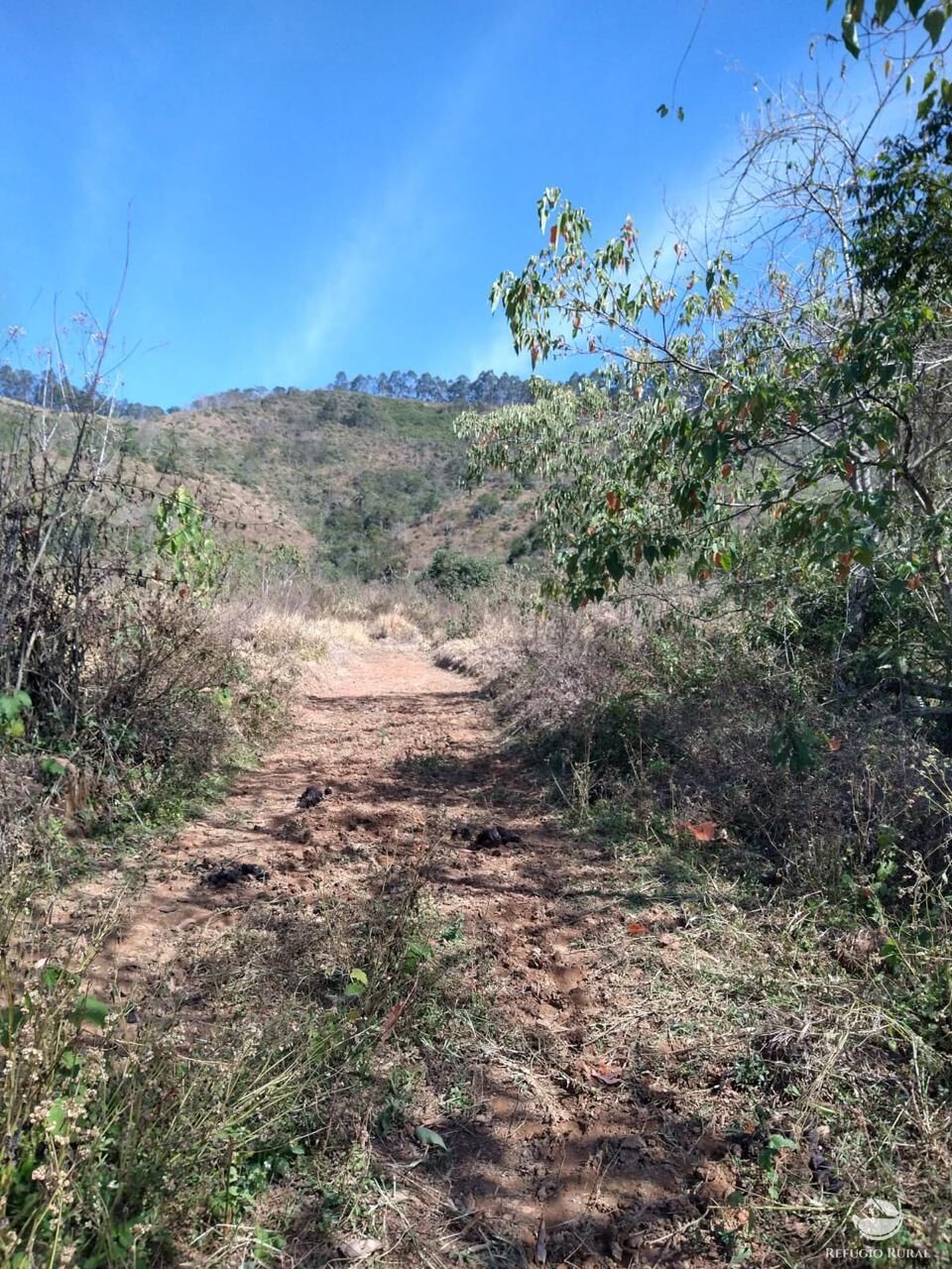 Terreno à venda, 363000m² - Foto 9