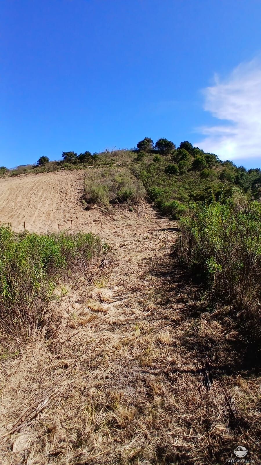 Chácara à venda com 1 quarto, 20000m² - Foto 5