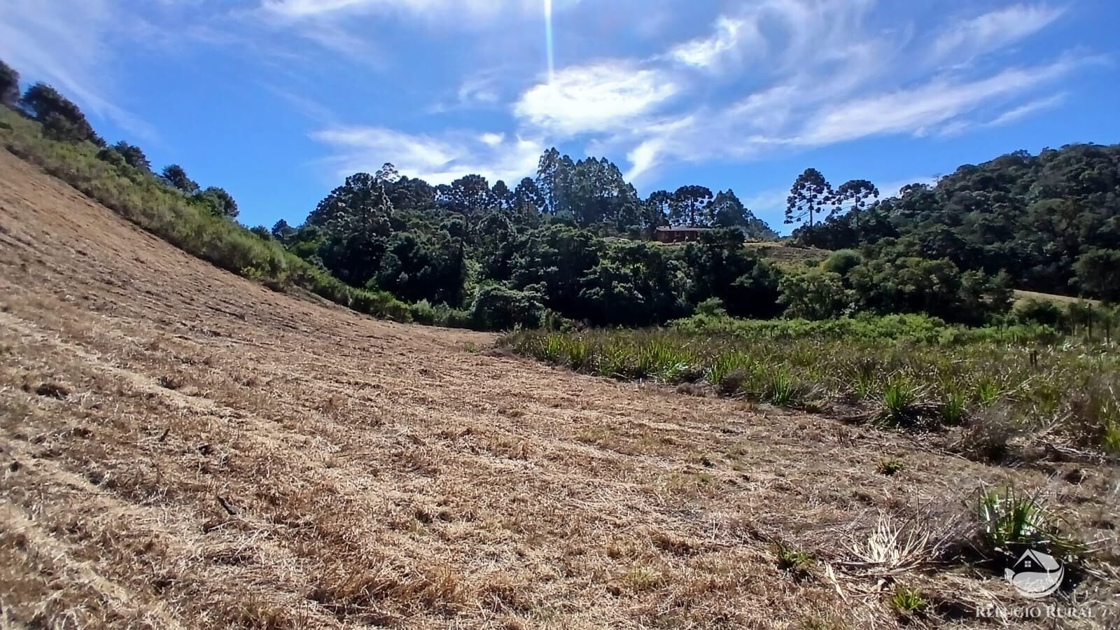 Chácara à venda com 1 quarto, 20000m² - Foto 10