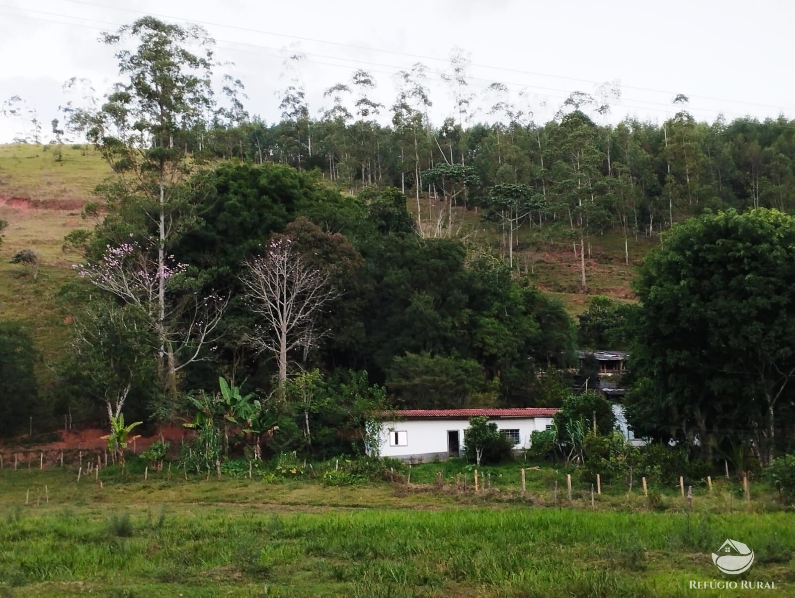 Fazenda à venda com 2 quartos, 242000m² - Foto 1