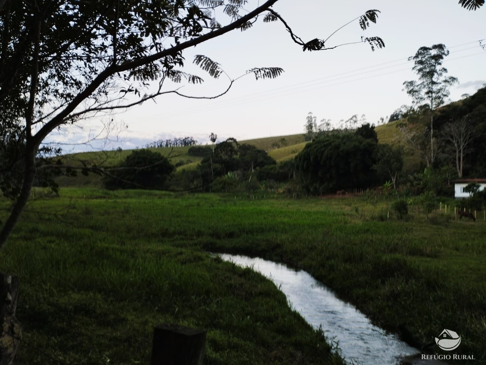 Fazenda à venda com 2 quartos, 242000m² - Foto 10