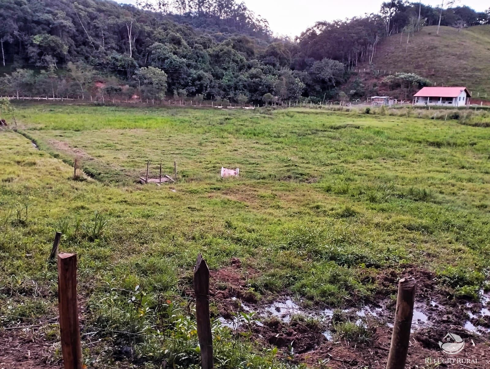 Fazenda à venda com 2 quartos, 242000m² - Foto 15