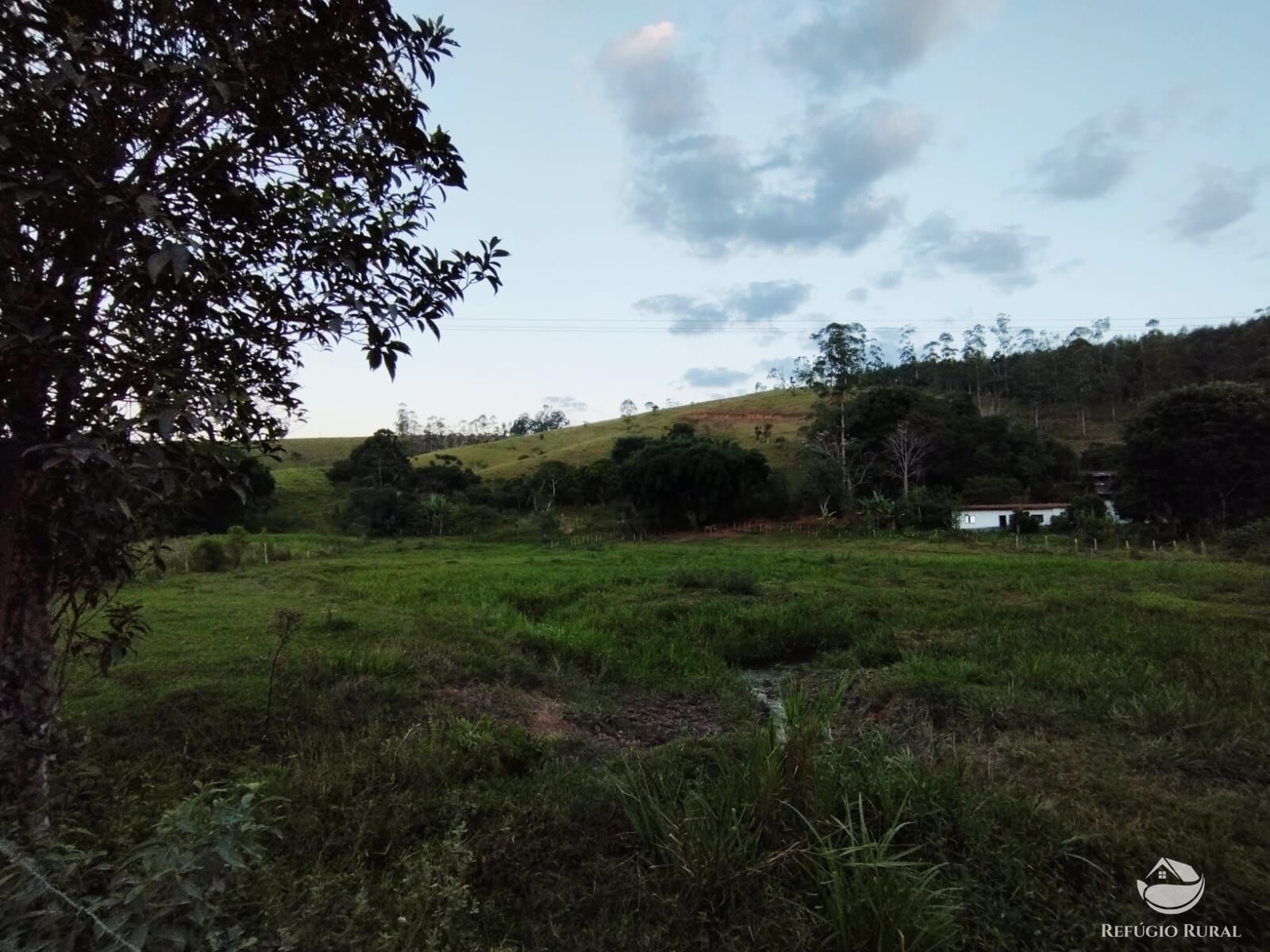 Fazenda à venda com 2 quartos, 242000m² - Foto 8