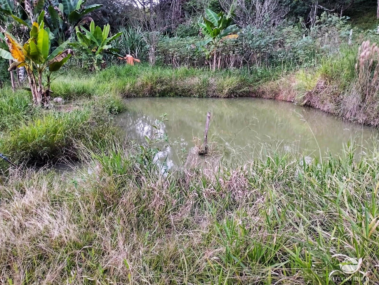 Fazenda à venda com 2 quartos, 242000m² - Foto 7