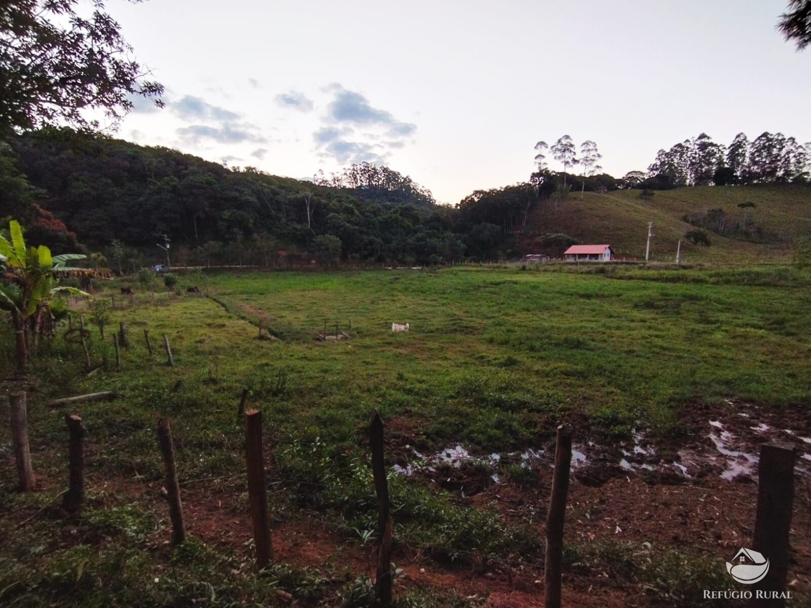 Fazenda à venda com 2 quartos, 242000m² - Foto 4