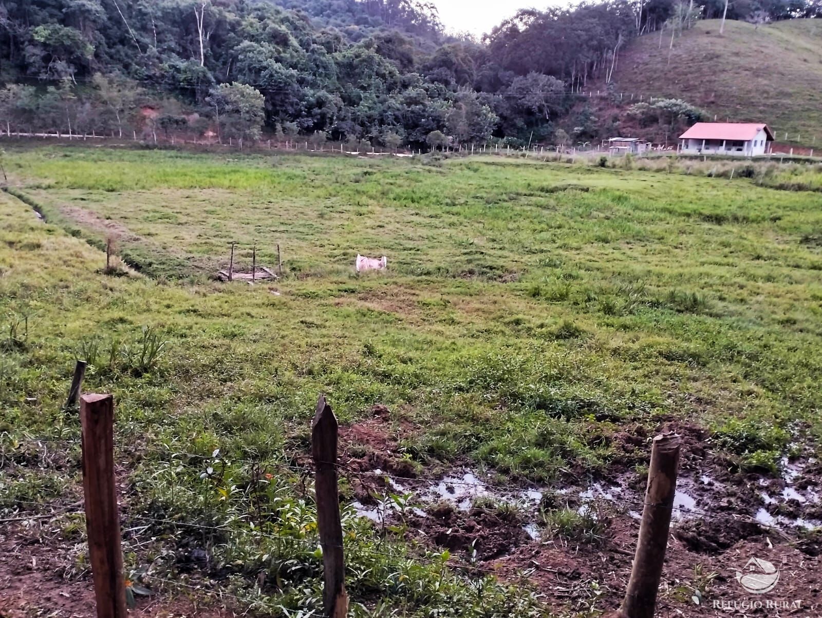 Fazenda à venda com 2 quartos, 242000m² - Foto 12