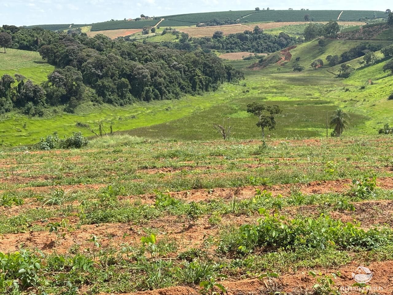 Fazenda, 75 hectares - Foto 6