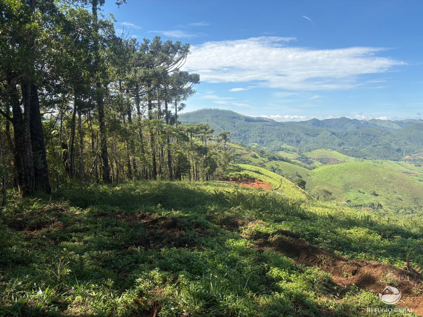 Terreno, 3 hectares - Foto 14