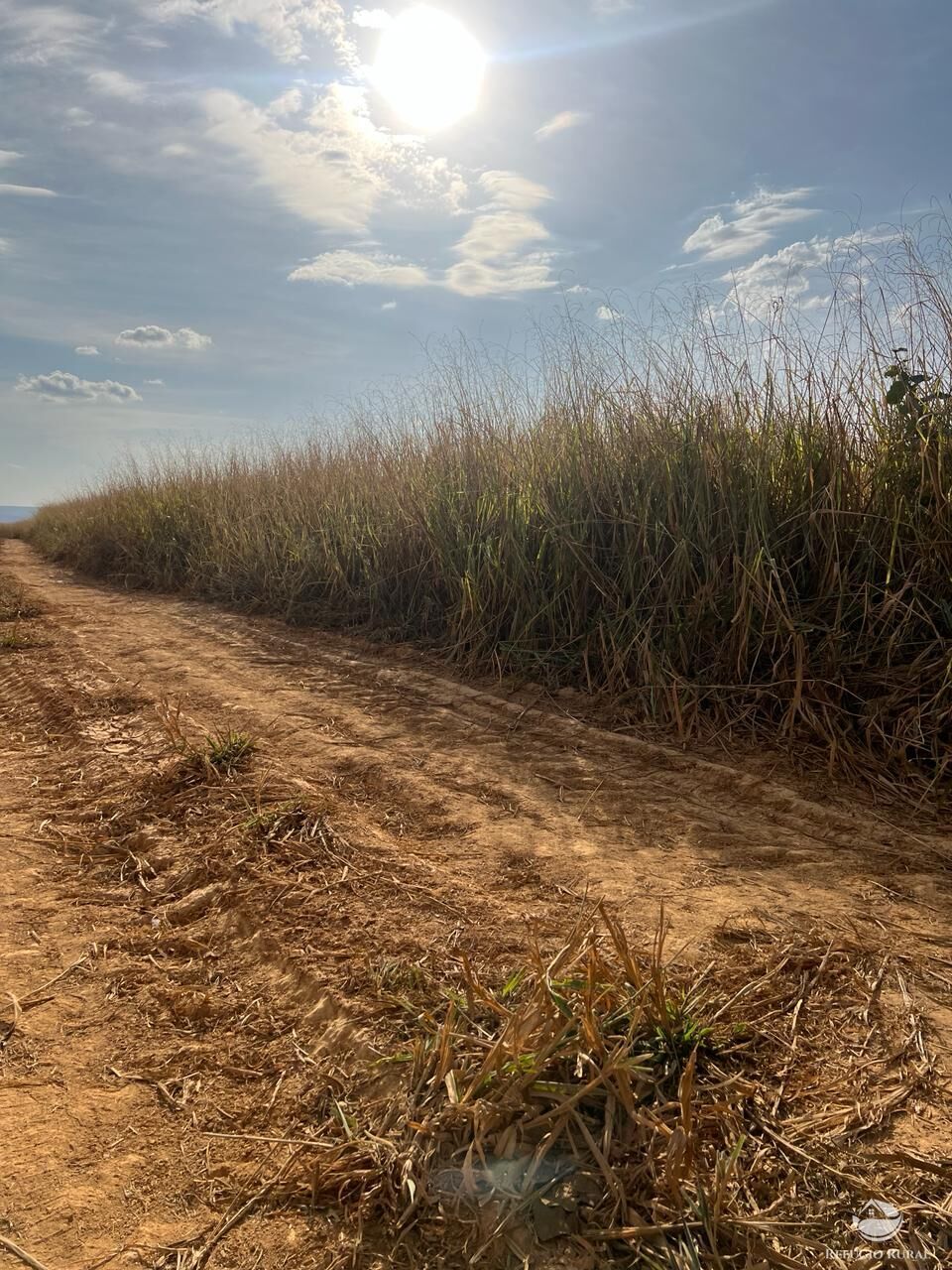 Fazenda à venda com 1 quarto, 3320000m² - Foto 1