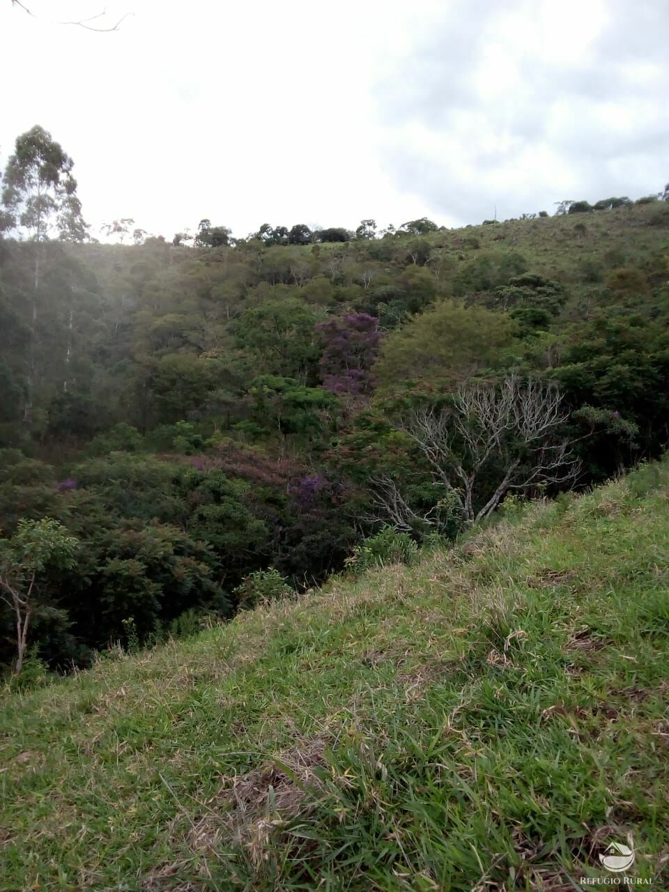 Fazenda à venda, 60500m² - Foto 7