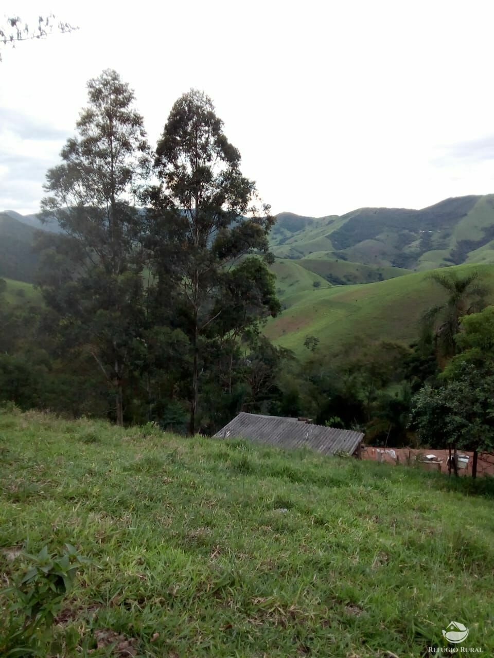 Fazenda à venda, 60500m² - Foto 3