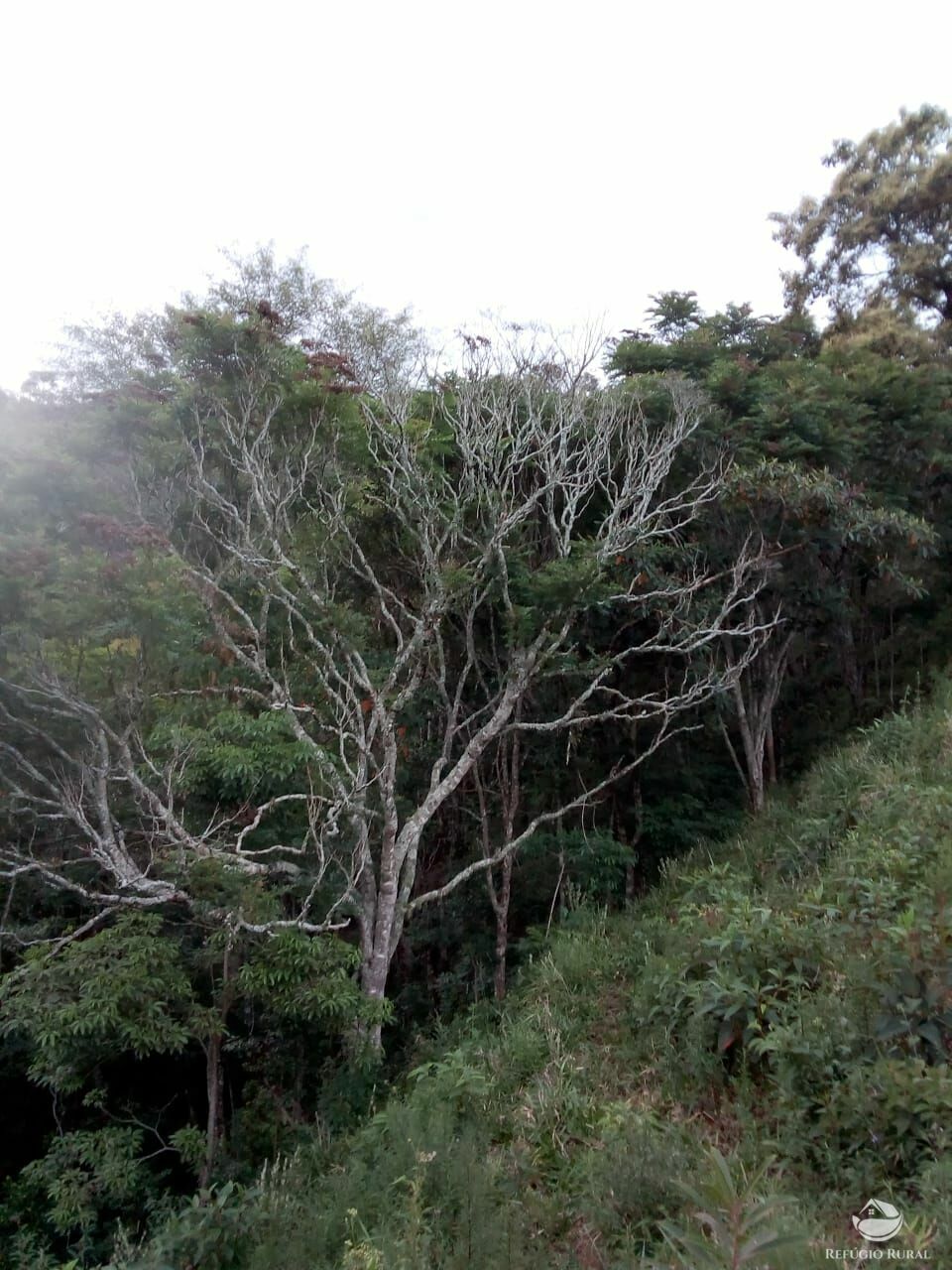 Fazenda à venda, 60500m² - Foto 8