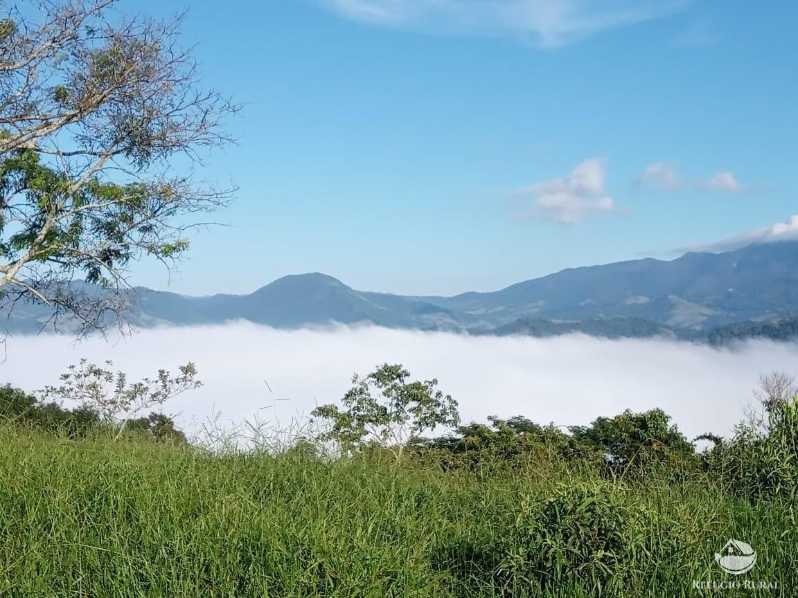 Terreno, 2 hectares - Foto 5