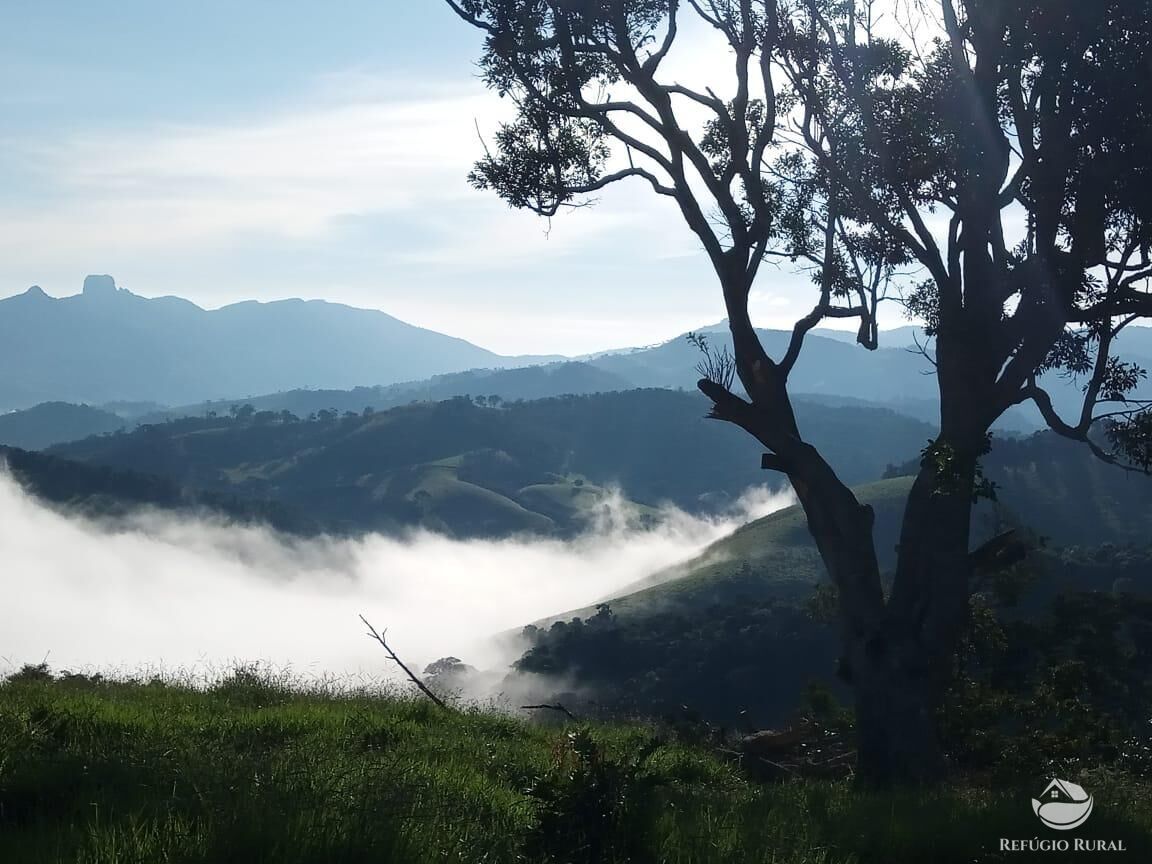 Terreno, 2 hectares - Foto 3