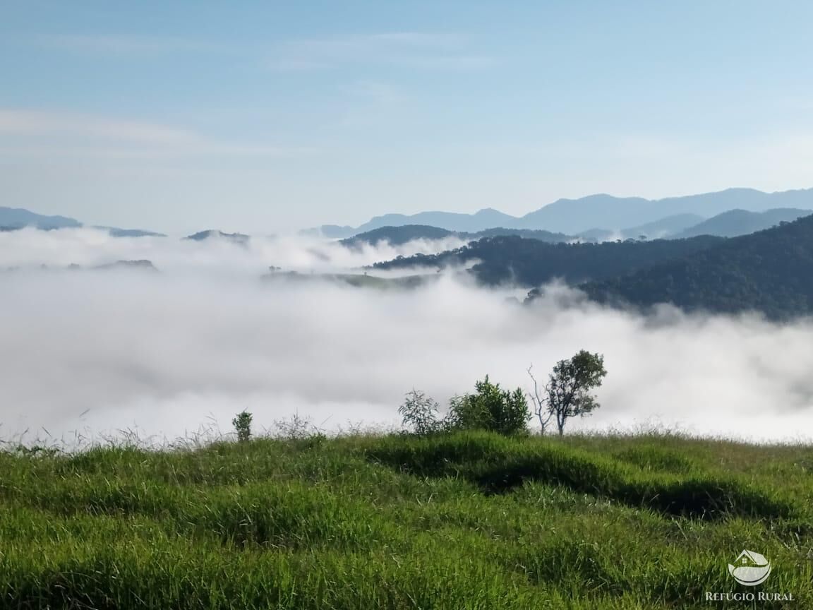 Terreno, 2 hectares - Foto 4