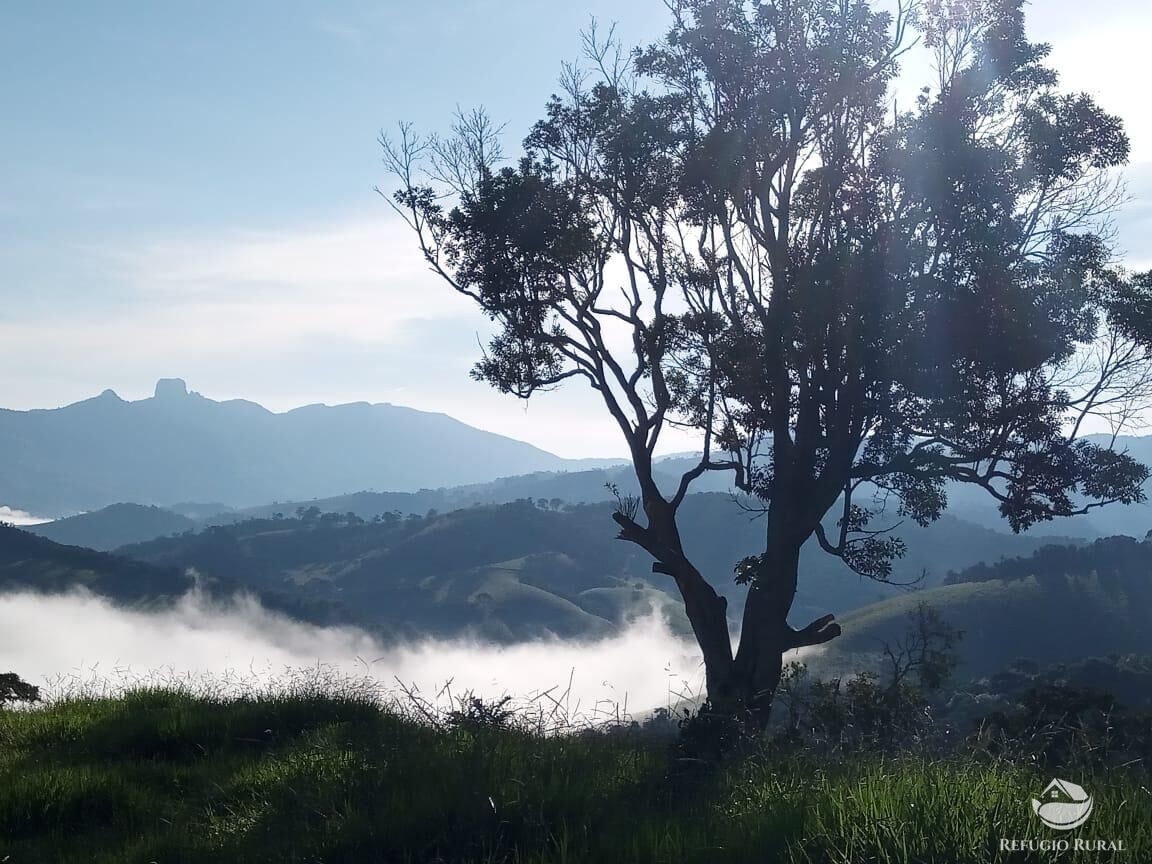 Terreno, 2 hectares - Foto 2