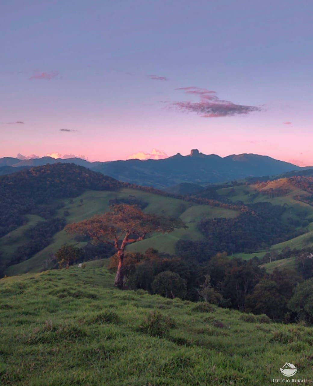 Terreno, 2 hectares - Foto 6