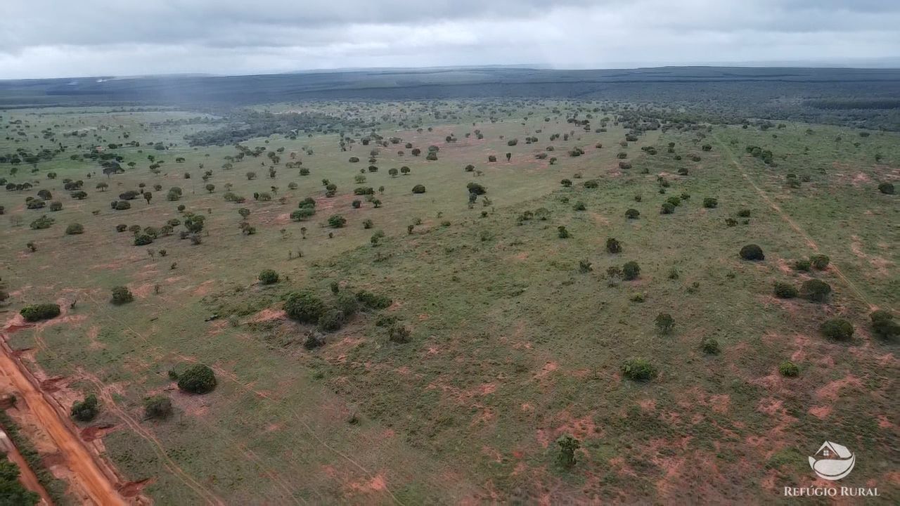 Fazenda, 692 hectares - Foto 14