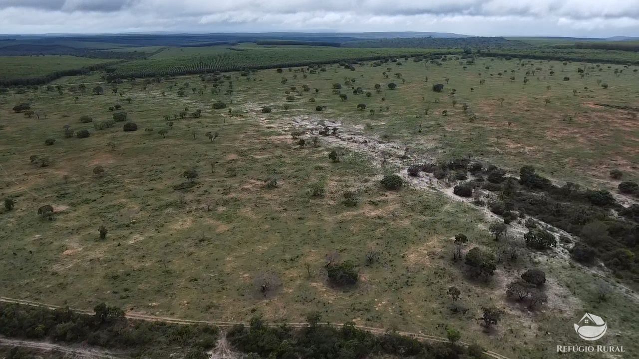 Fazenda, 692 hectares - Foto 12