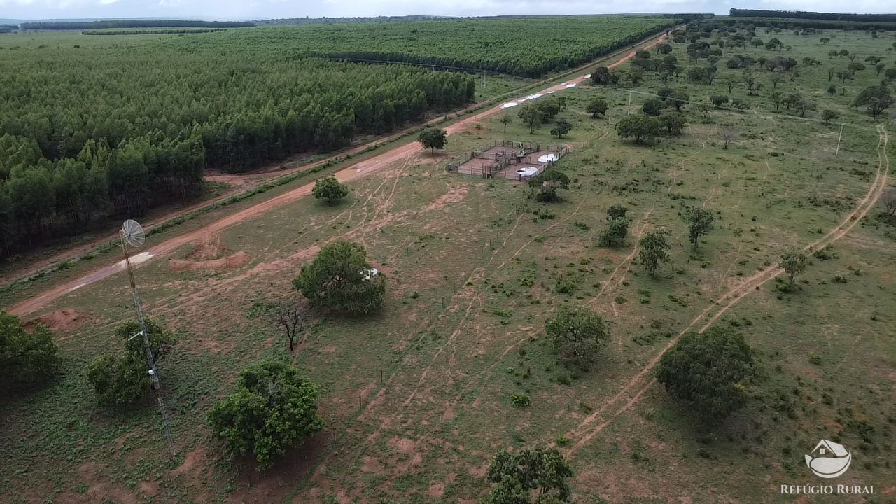 Fazenda, 692 hectares - Foto 4