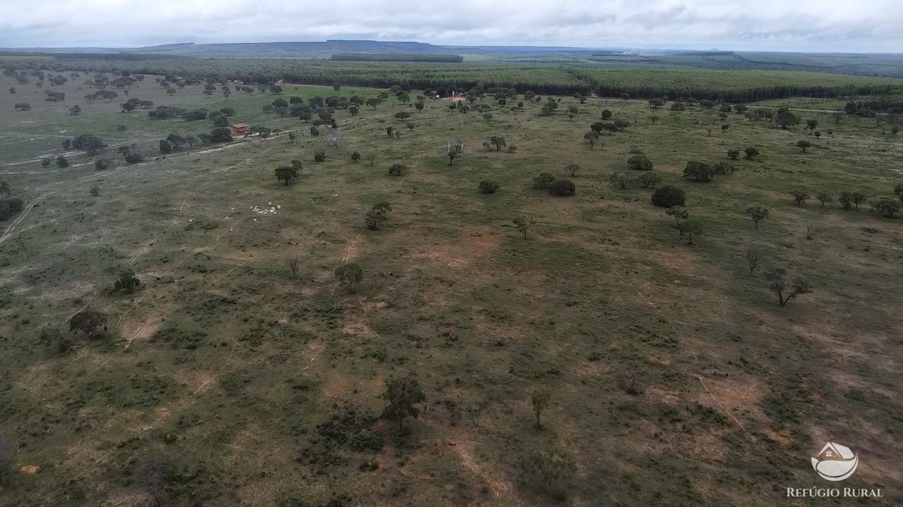 Fazenda, 692 hectares - Foto 5