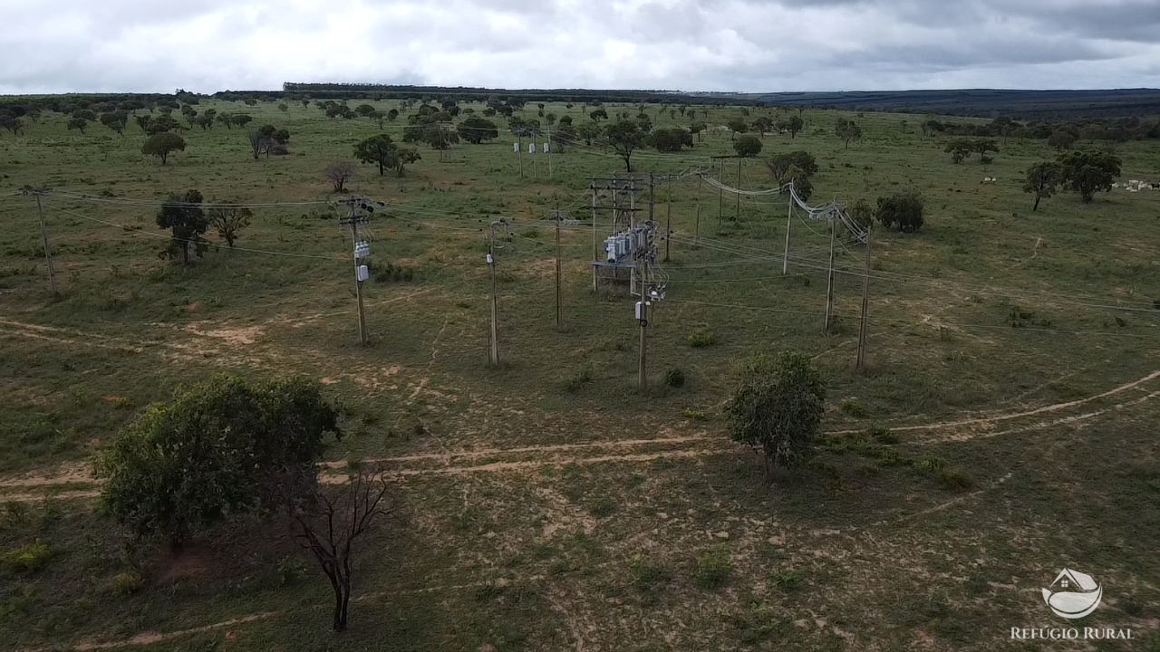 Fazenda, 692 hectares - Foto 6