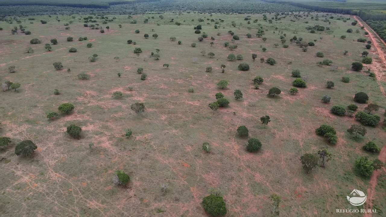 Fazenda, 692 hectares - Foto 8