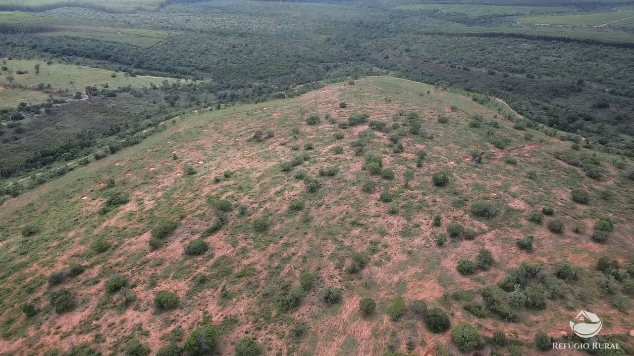 Fazenda, 692 hectares - Foto 11