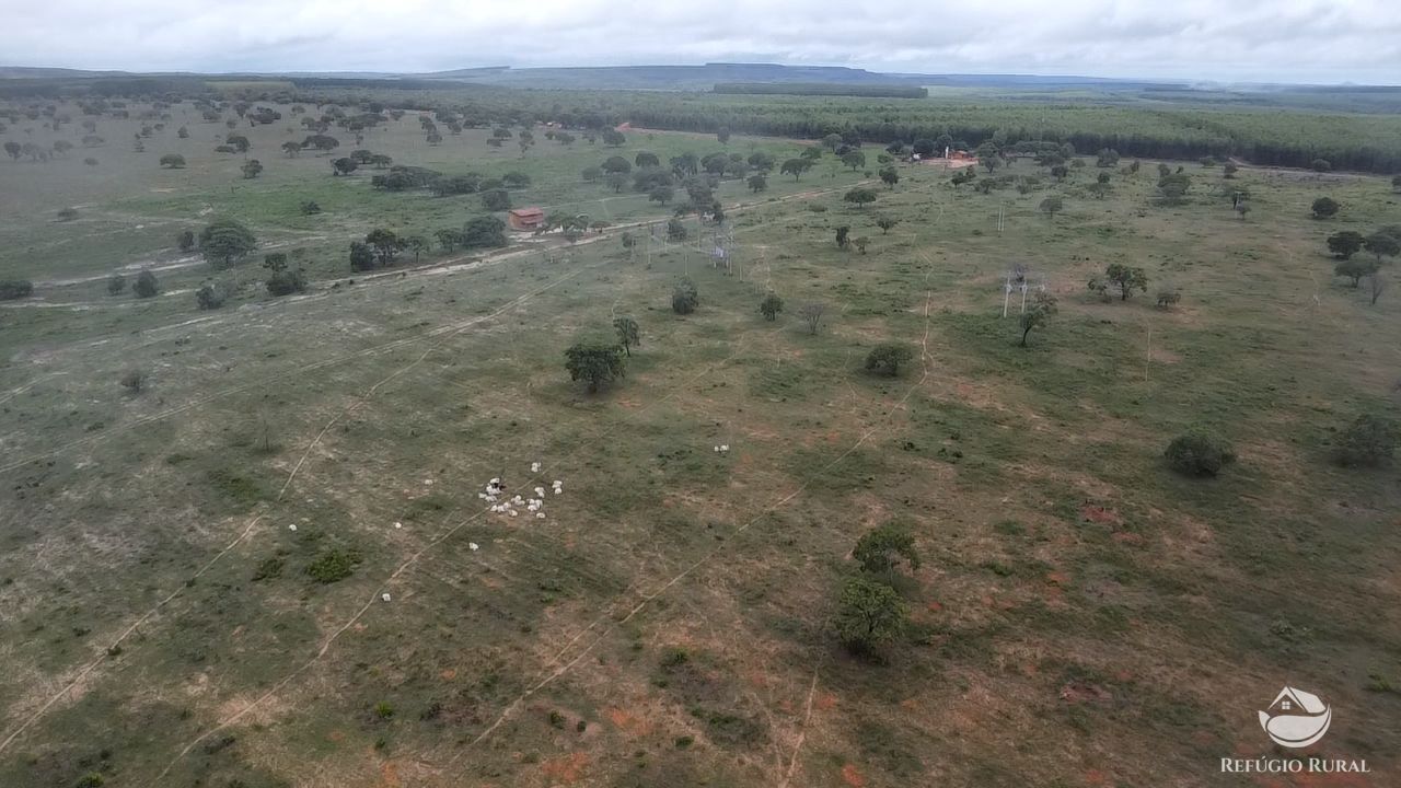 Fazenda, 692 hectares - Foto 7