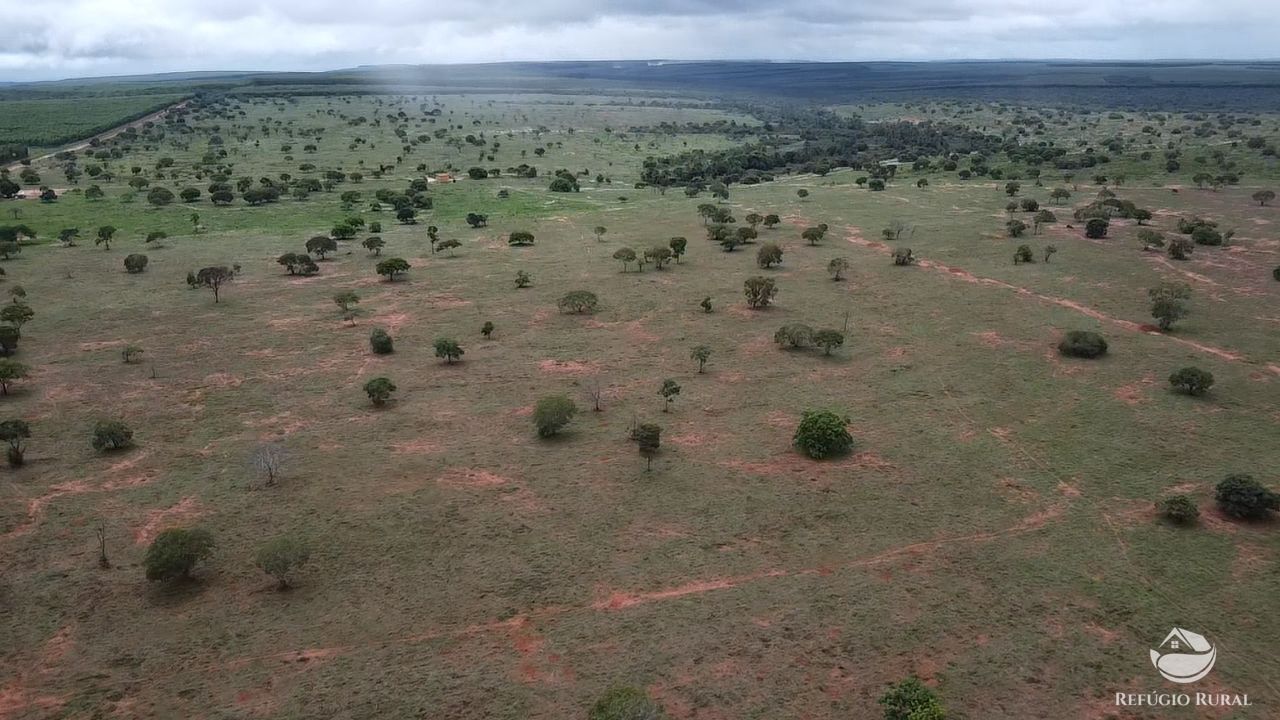 Fazenda, 692 hectares - Foto 15