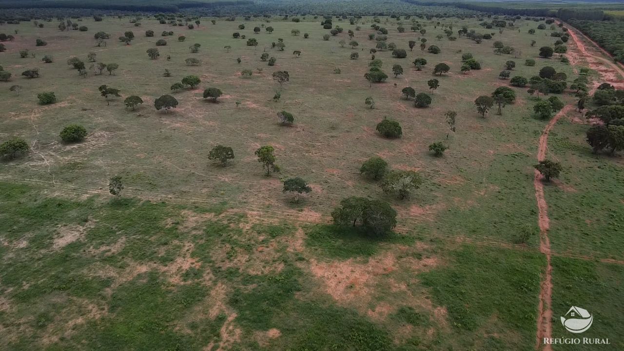 Fazenda, 692 hectares - Foto 9