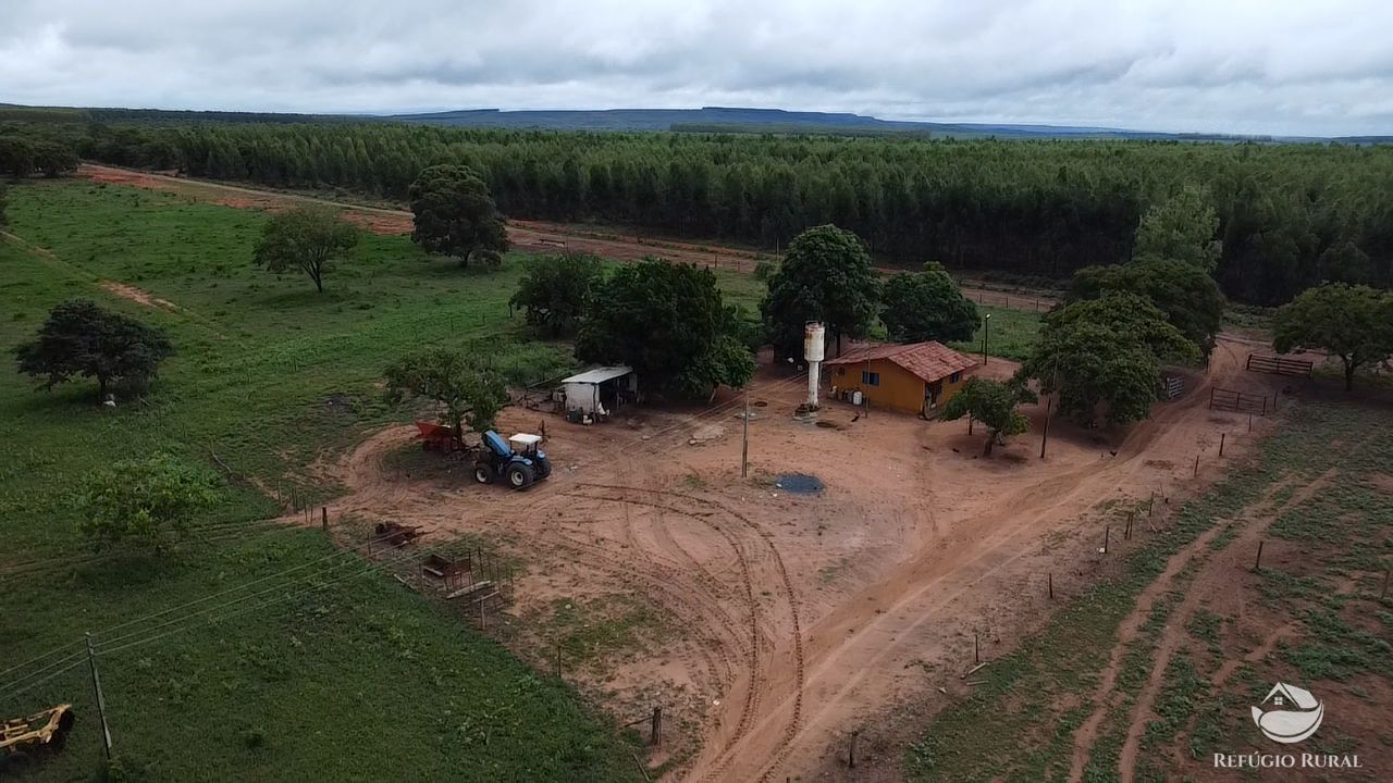 Fazenda, 692 hectares - Foto 1
