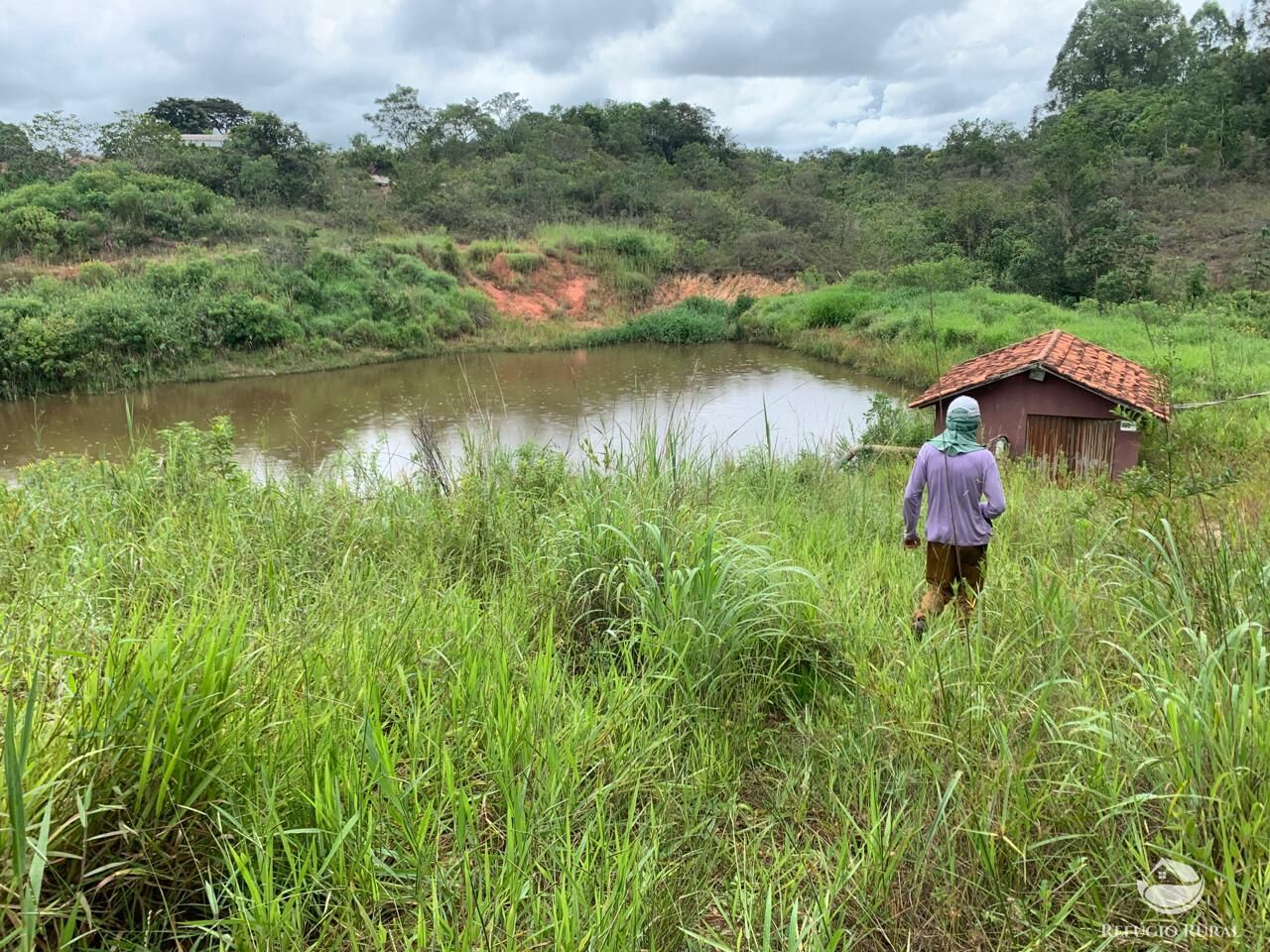 Fazenda à venda com 1 quarto, 3900000m² - Foto 8