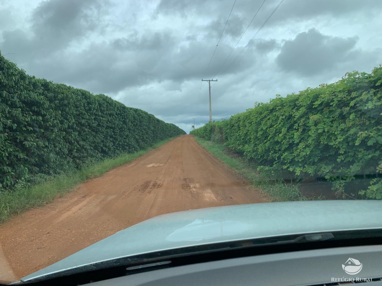 Fazenda à venda com 1 quarto, 3900000m² - Foto 5