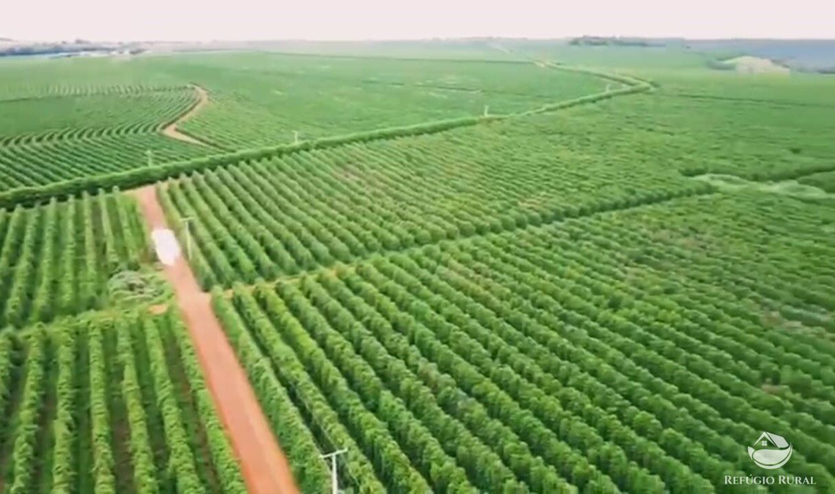 Fazenda à venda com 1 quarto, 3900000m² - Foto 2