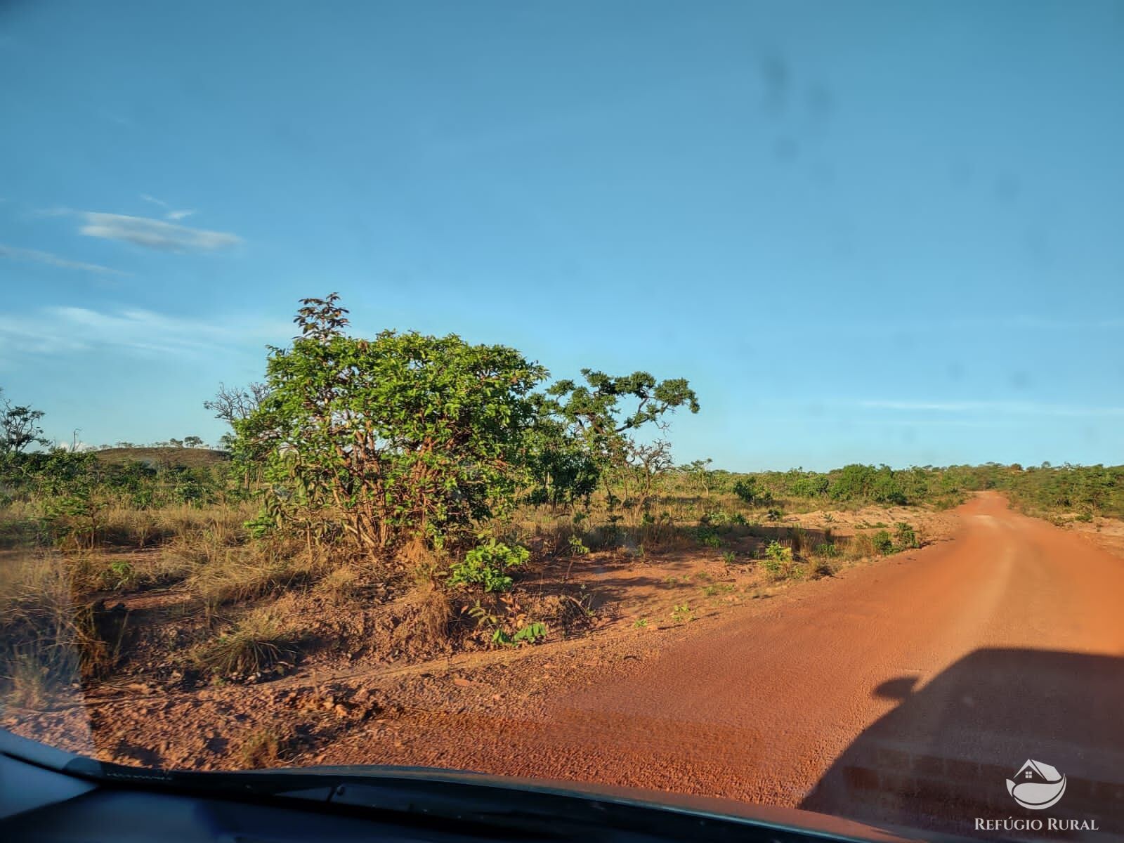 Fazenda, 1046 hectares - Foto 19