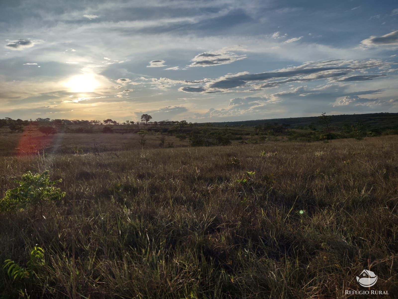 Fazenda, 1046 hectares - Foto 5