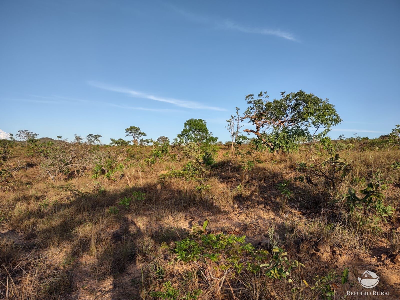 Fazenda, 1046 hectares - Foto 10
