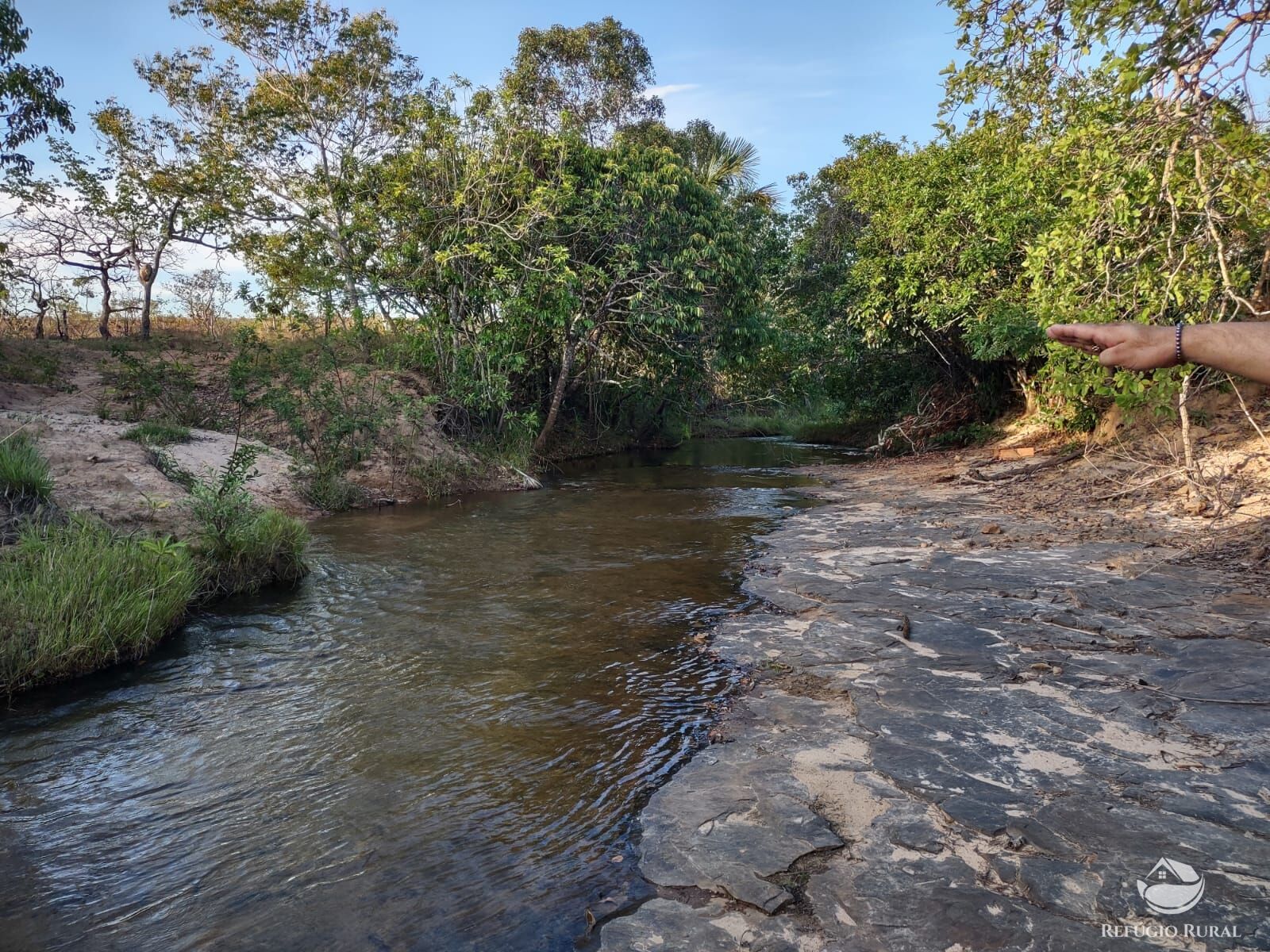 Fazenda, 1046 hectares - Foto 3