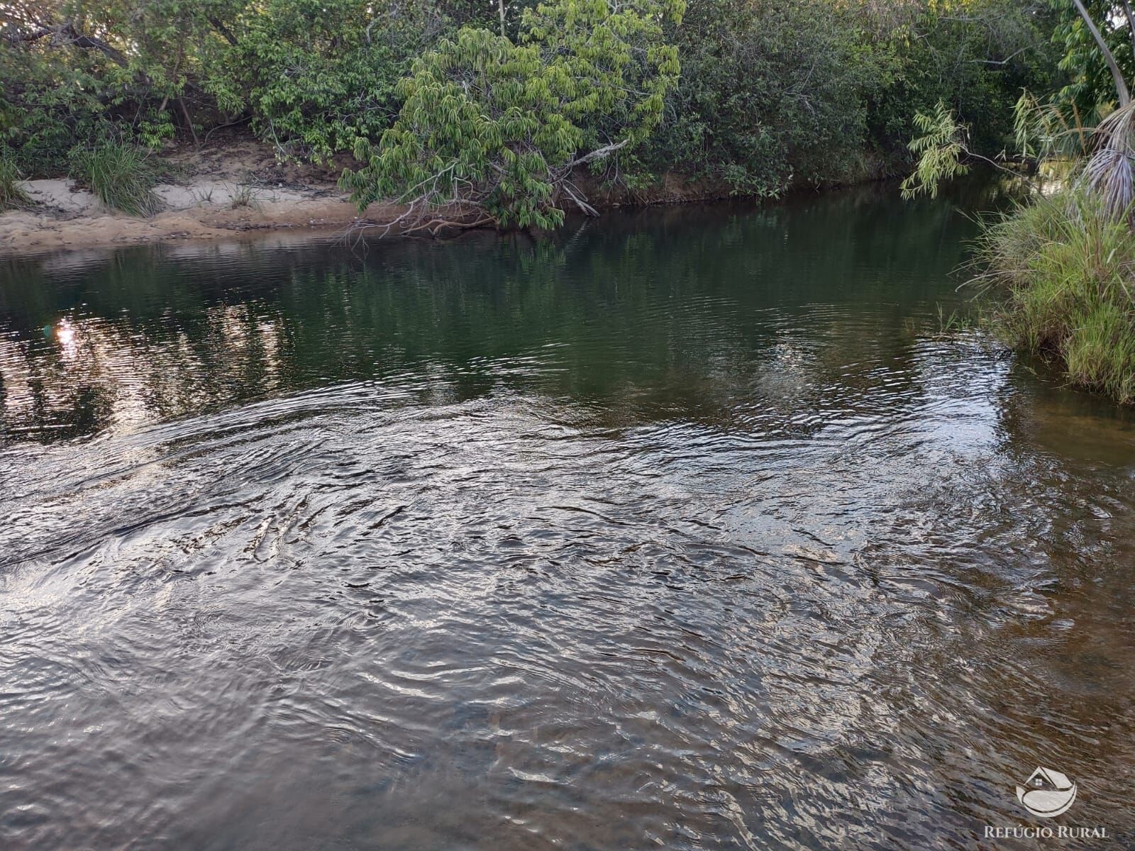 Fazenda, 1046 hectares - Foto 13