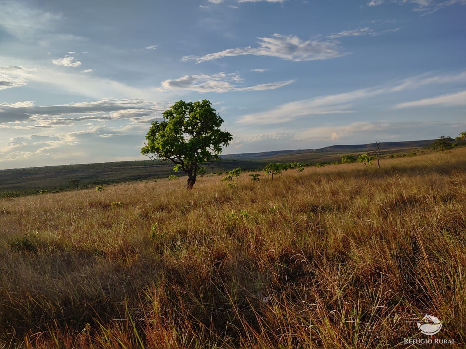 Fazenda, 1046 hectares - Foto 2