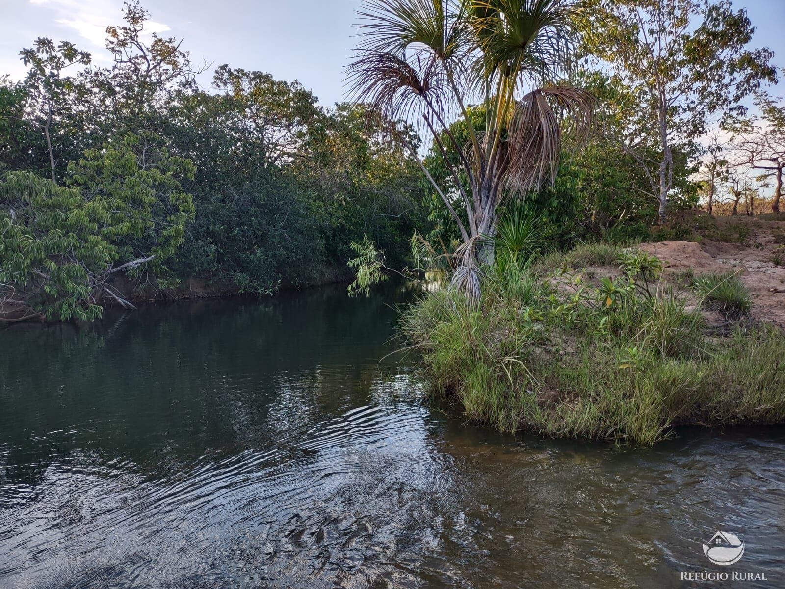 Fazenda, 1046 hectares - Foto 8