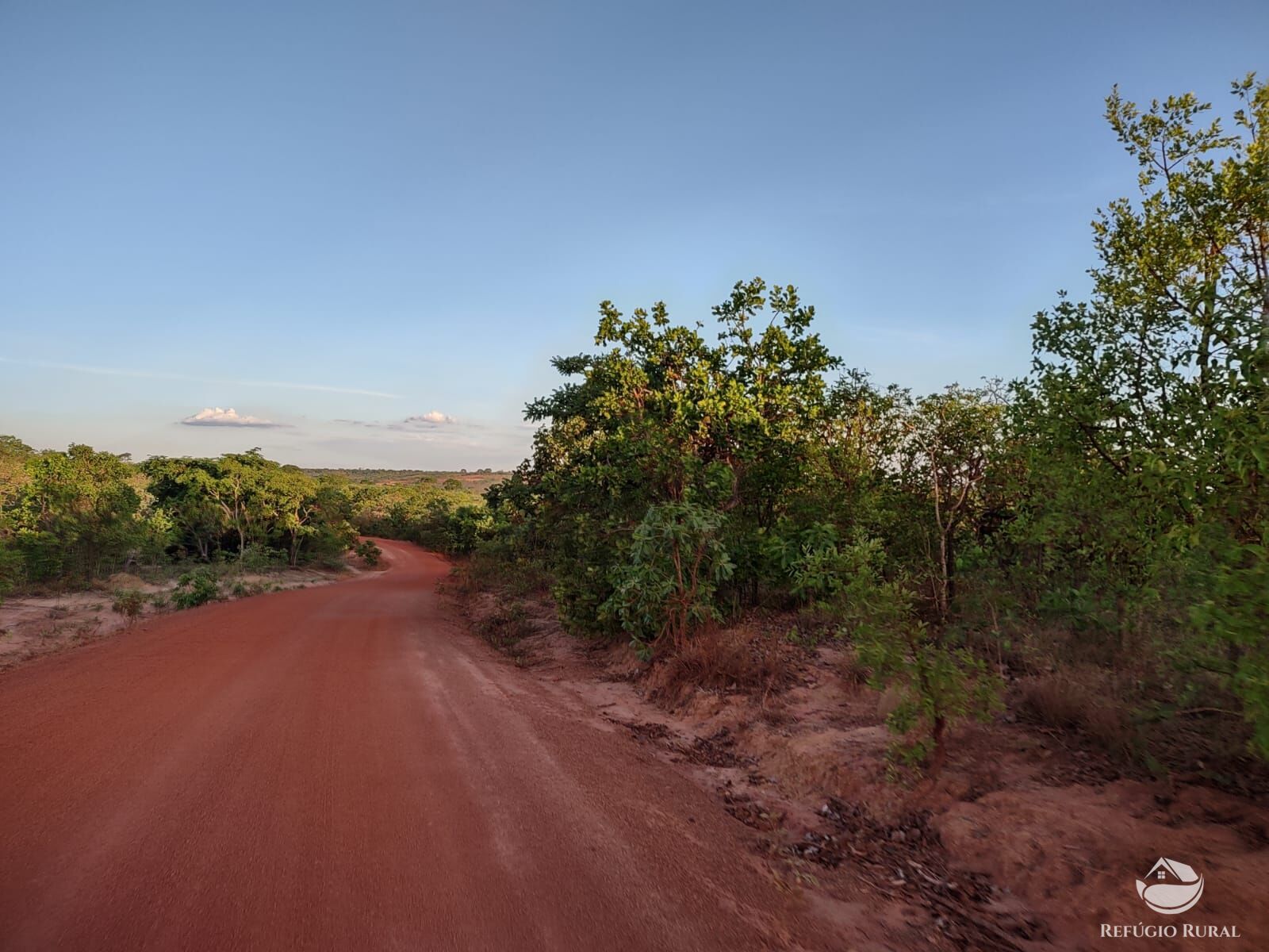 Fazenda, 1046 hectares - Foto 15